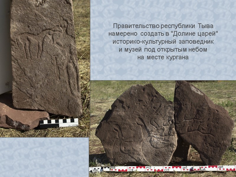 Правительство республики Тыва намерено создать в 